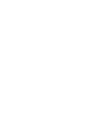 Brunes